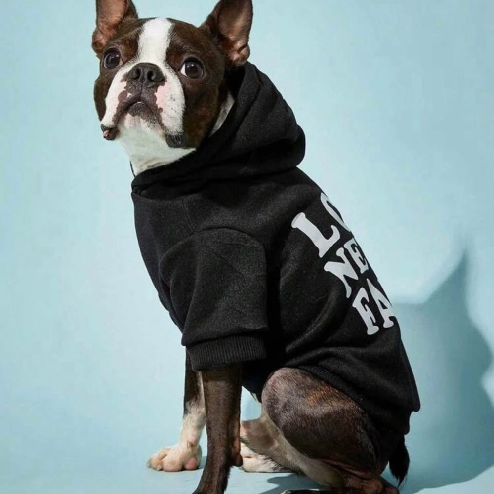 Black Dog Hoodie